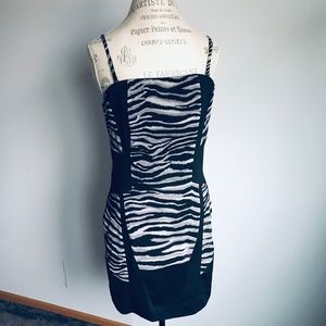 Form Fitting Chic Zebra Animal print Dress by ONLY